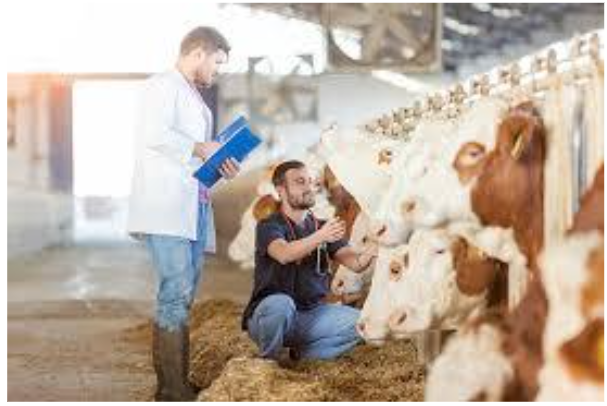 C:\Users\User\OneDrive\Рабочий стол\images.jfif