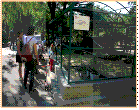http://zoo.nikolaev.ua/Media/files/filemanager/IMG_6573.JPG